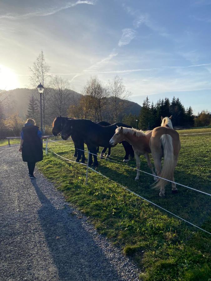 Fewo Sonnenschein Weissbriach Eksteriør bilde